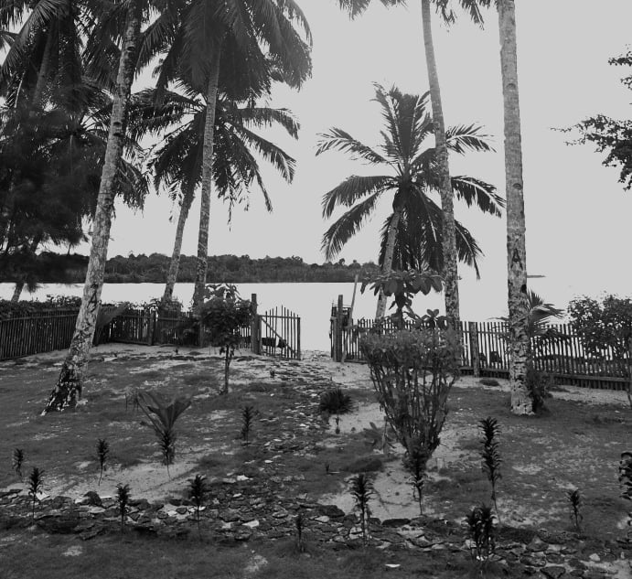 a black and white photo of a beach with palm trees