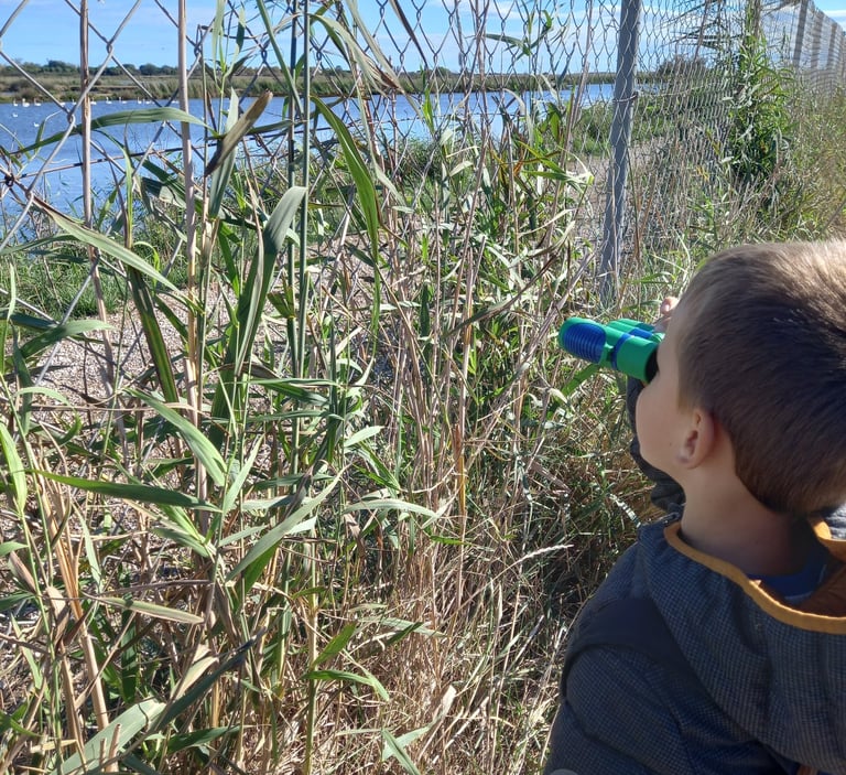 Enfant observant la nature avec des jumelles lors d'une sortie en plein air sur le Canal du Midi
