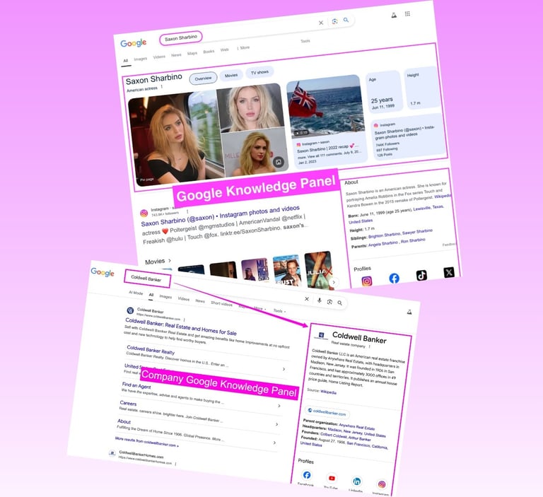Company and Founder Google Knowledge Panel services