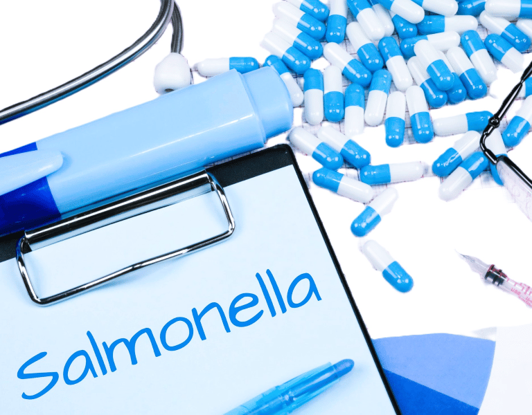 salmonella