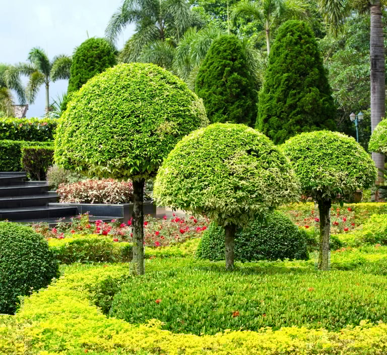 landscaping services near me oklahoma