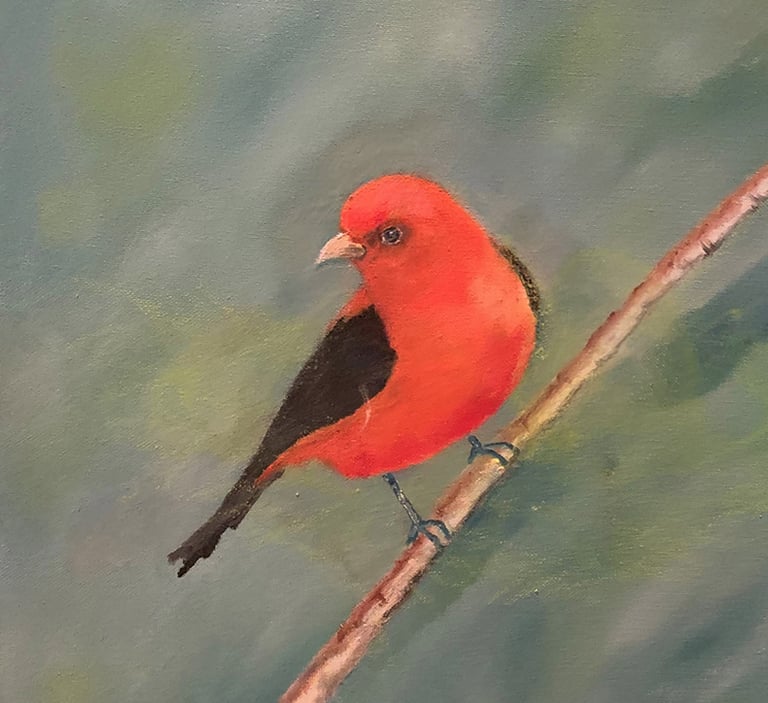 Scarlett Tanager by New Mexico Artist John Dick-Peddie