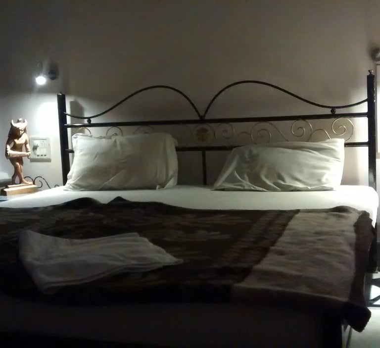 Super Deluxe AC bed 2