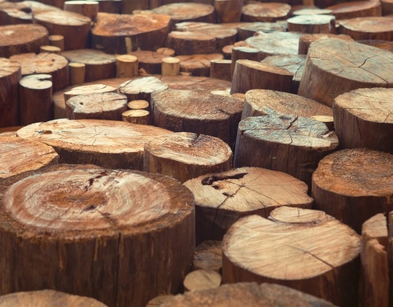 Stump grinding in praireville