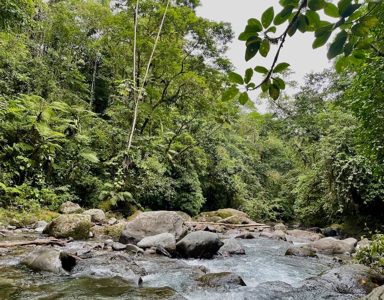 La Fortuna Wasserfall Urwald Costa Rica Annerschtwo