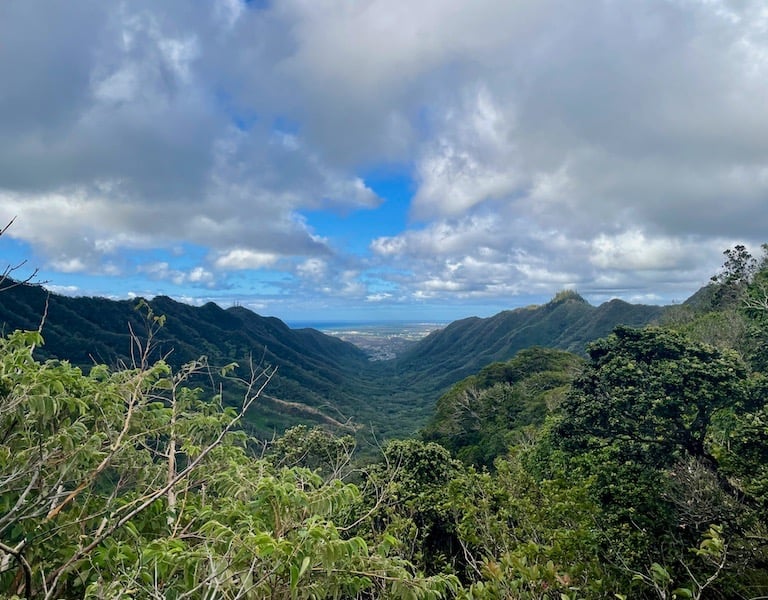 Moanalua Valley Trail Stairway to Heaven Oahu