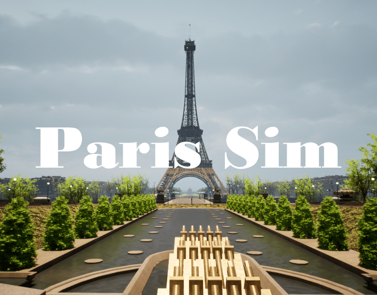Video game Paris sim