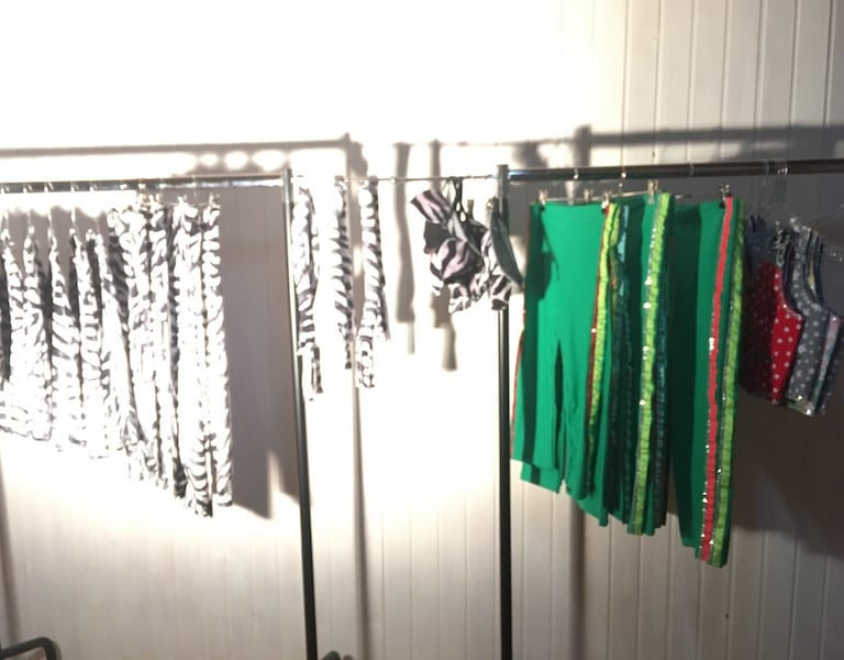 Clothing rack with zebra print costumes and green sequin pants.