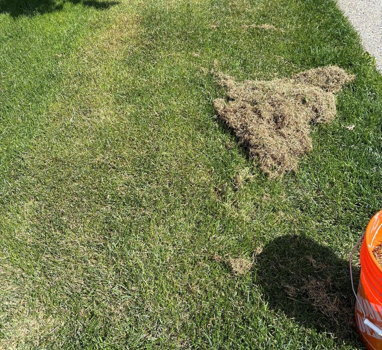 MacLawns Lawn Dethatching in South Calgary