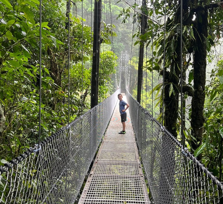 hanging bridges la fortuna