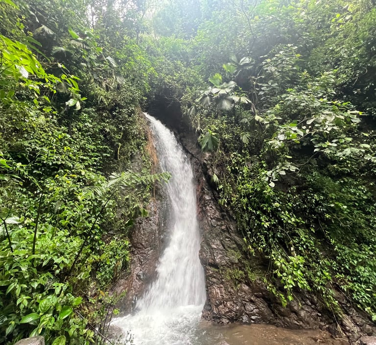 Mistico Hanging Bridges waterfall