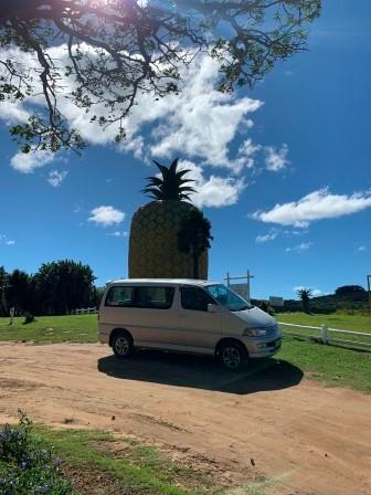 a van parked on a dirt road with a pineapple