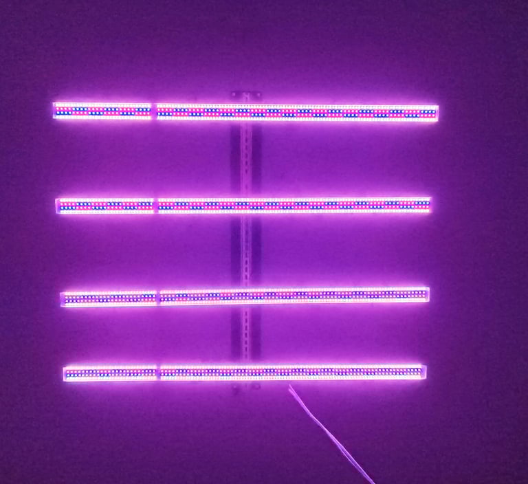 Customizable Spectrum Light