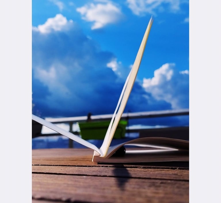Journal dans le ciel bleu - newsletter depuis le Sensible - Helene Gorius