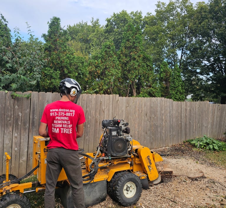 Professional arborist using a yellow stump grinder for residential tree removal services near a wooden fence.
