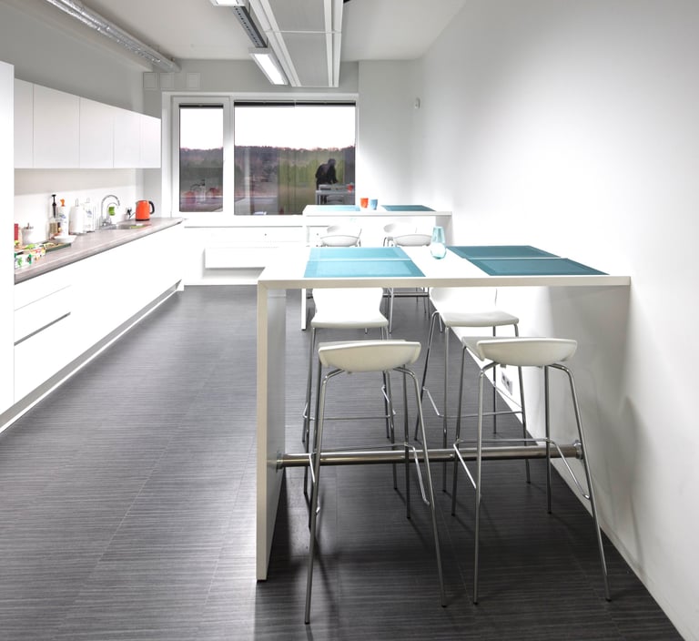 vinilo grindys biuro virt