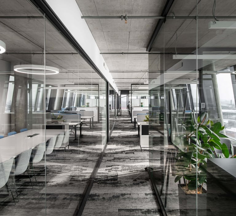 sienų danga biurams