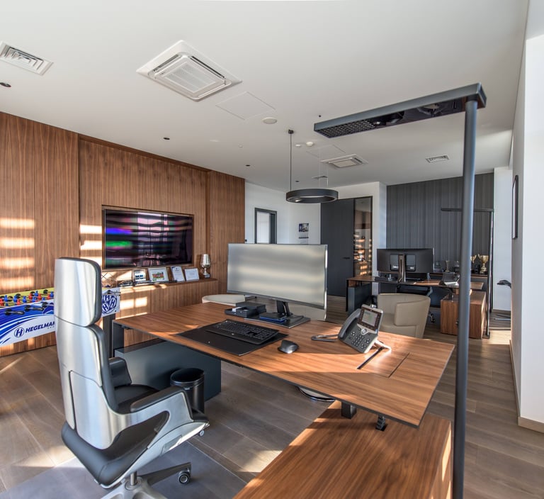 biuro interjeras su viniline sienu danga