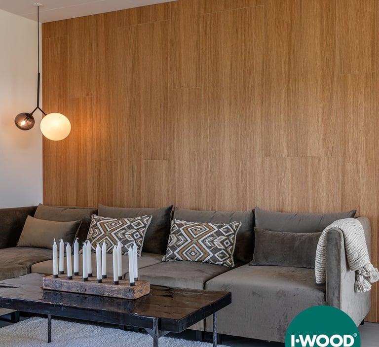 Medžio panelės sienų apdailai