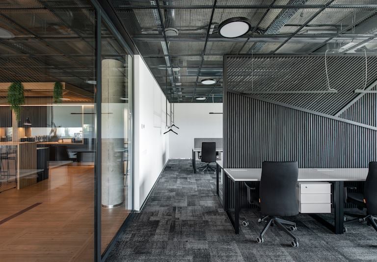 vinilo ir kilimo derinimas