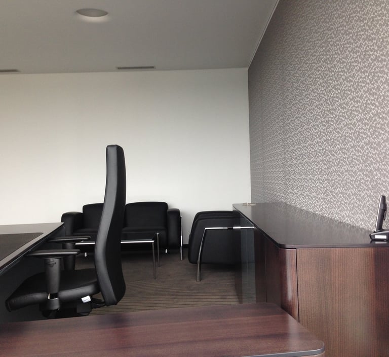 viniline sienu danga biurui