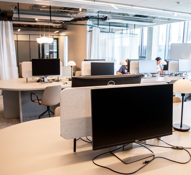 Akustinis komfortas biure