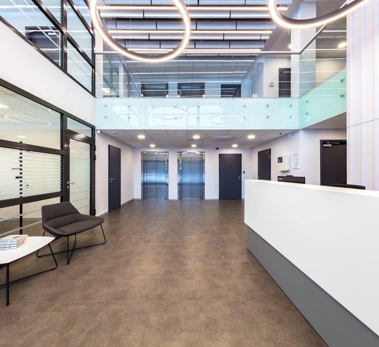 vinilines dizaino grindys biure