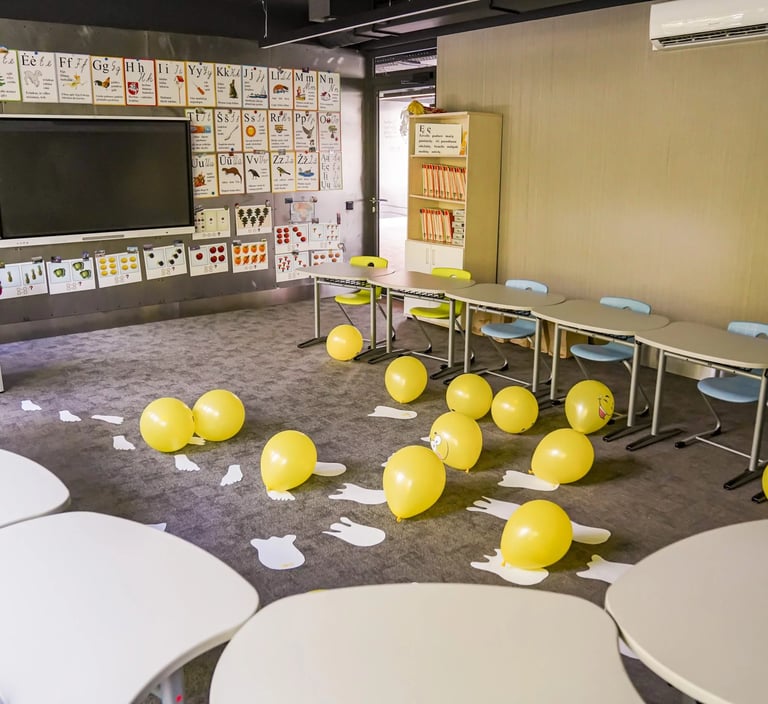 sienu danga mokykloms