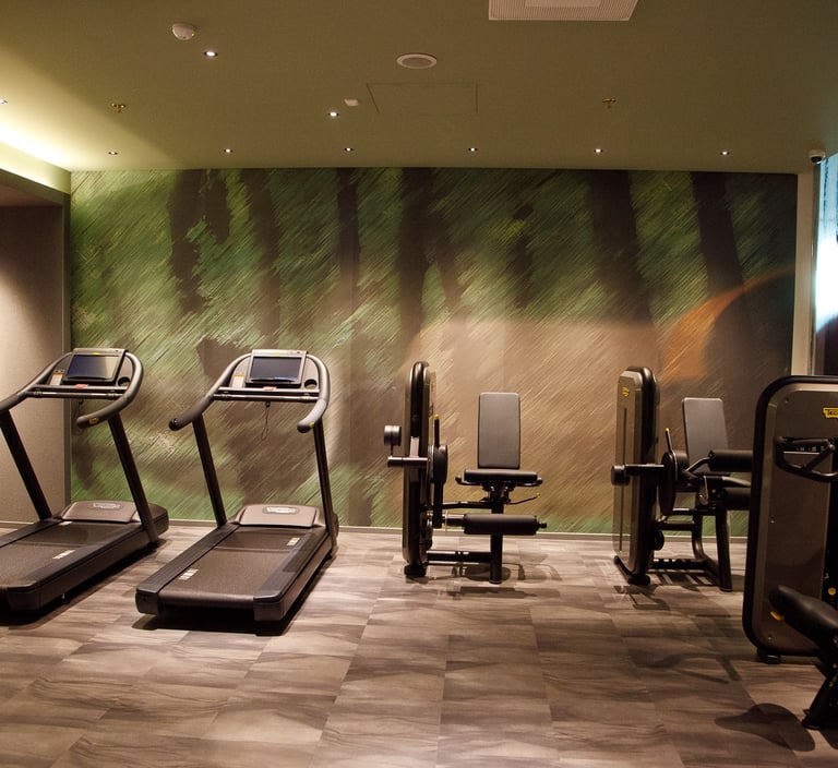 apdaila sporto saleje