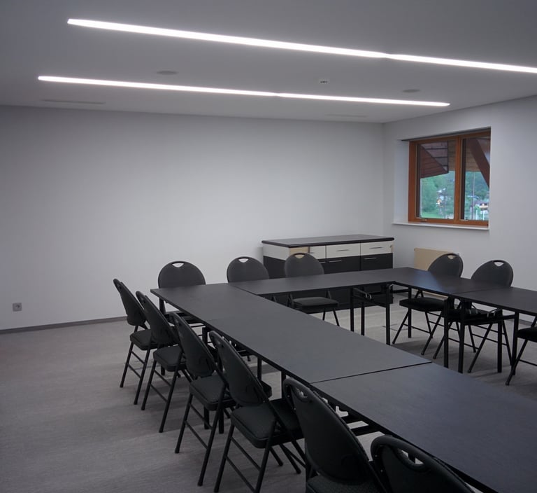 vinilinė sienu danga konferenciju salei