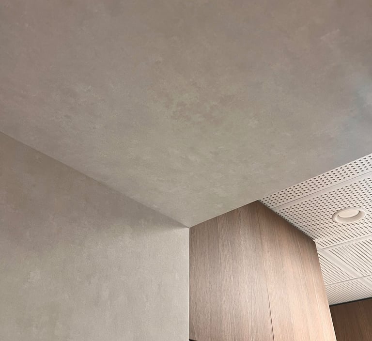 Estetiška sienų apdaila