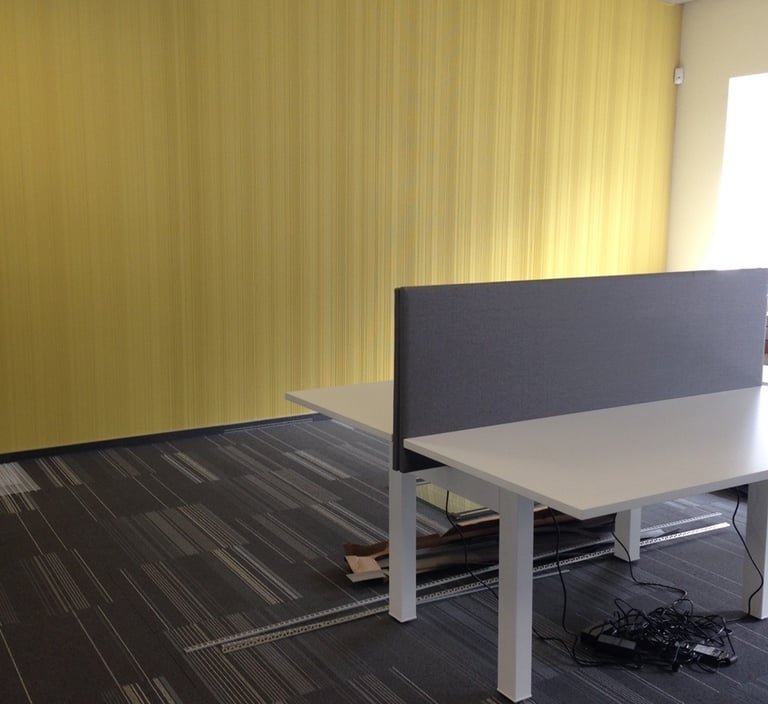 vinilines sienu dangos