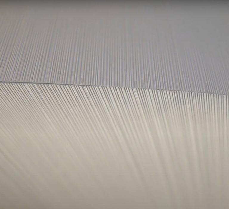 Vescom Hauki sienų danga