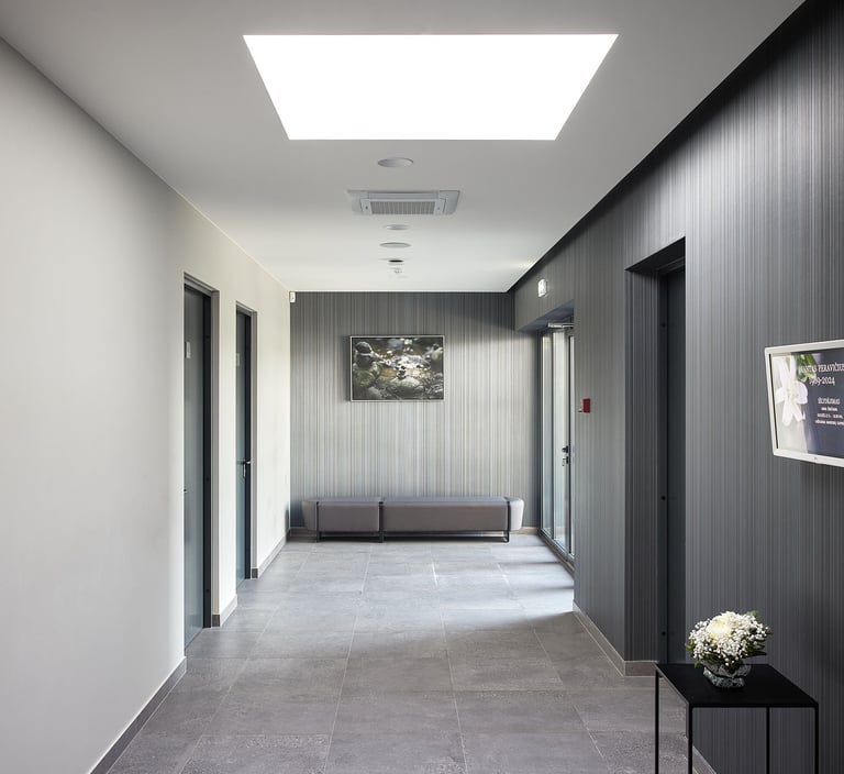 Sienų danga komerciniam naudojimui