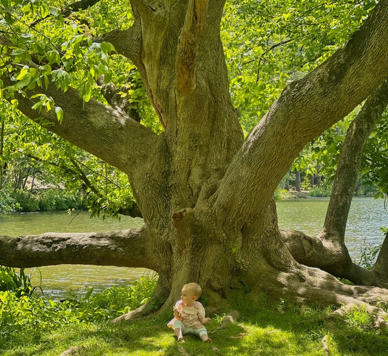 Wide shot of a baby girl sitting in the grass beneath a large, old tree, looking thoughtfully into the distance.