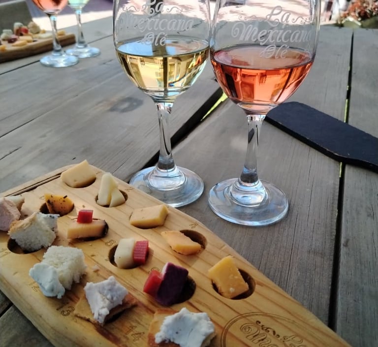Copas de vino y tabla de quesos en experiencia enológica en Querétaro