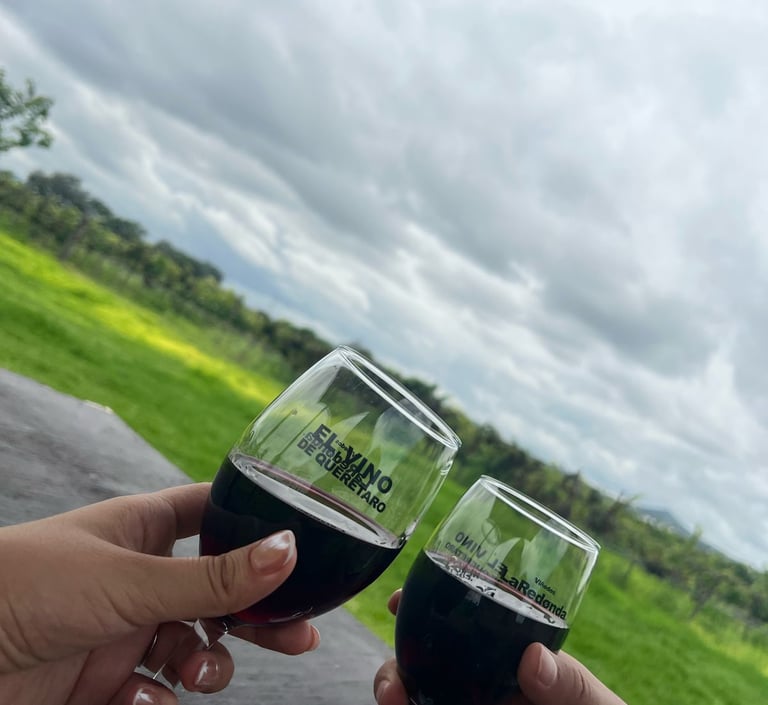 Copas de vino brindando en viñedo de Querétaro durante tour enológico