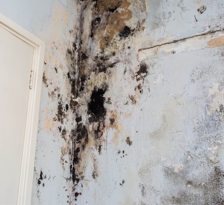 alt="Wall with water damage and visible mold spots, indicating indoor moisture issues"