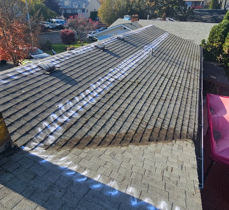 clean roof after soft washing