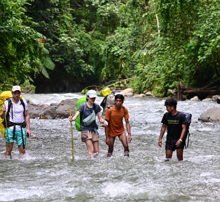 Bukit Lawang Trekking