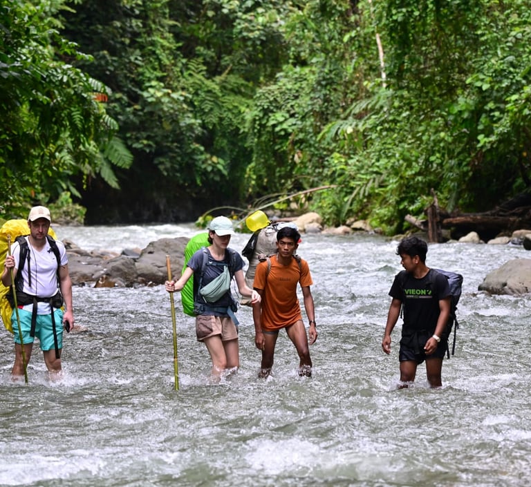 A group of hikers and local guides with backpacks cross a shallow river in a lush tropical rainforest.