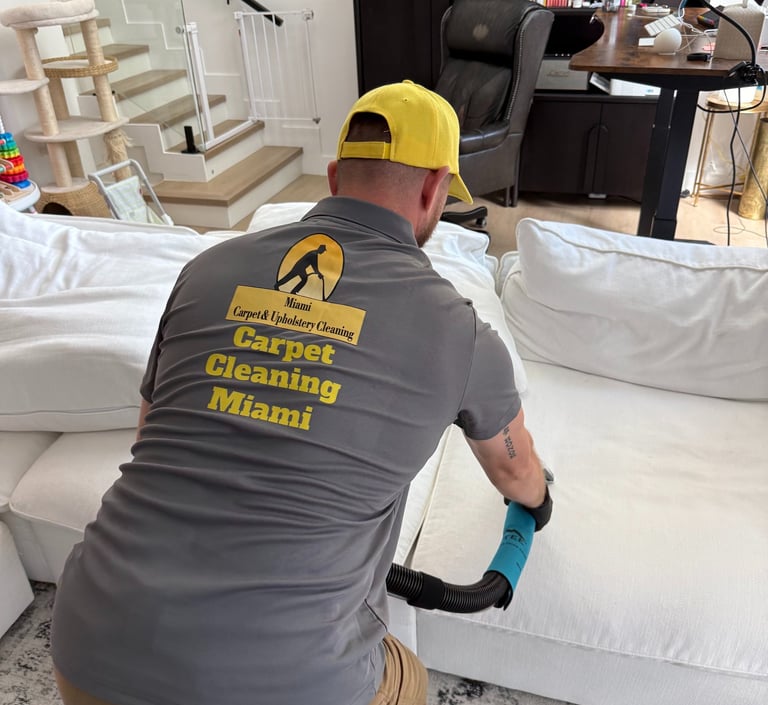 couch cleaning miami