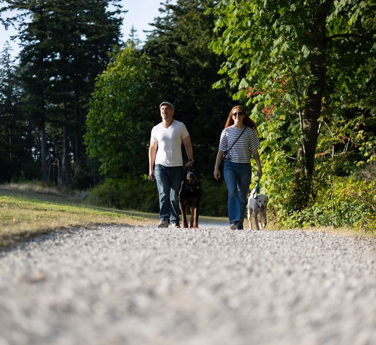 Meet the dog training team