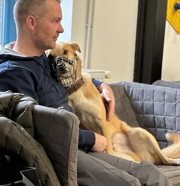 Hund mit Maulkorb kuschelnd auf Sofa