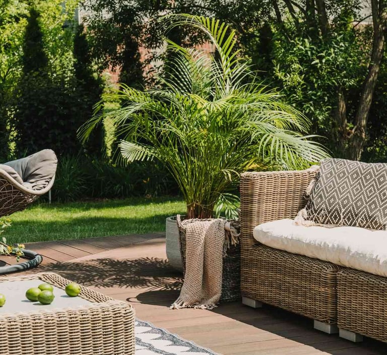 jardin exotique cocoon