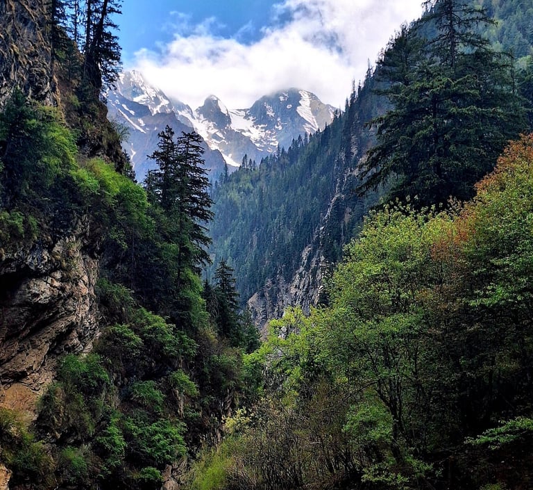 dolpo trek