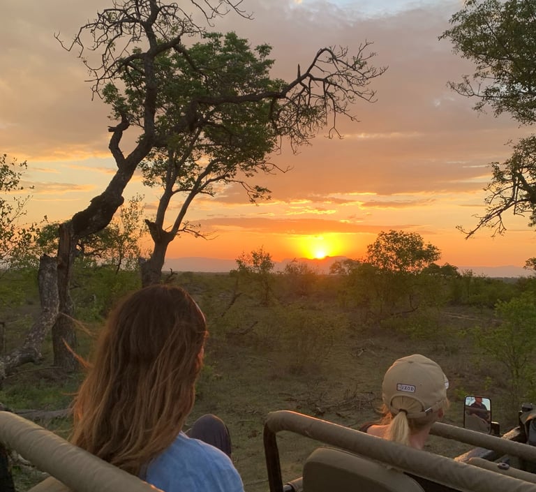Guests on safari in South Africa at sunset, watching wildlife on golden plains.