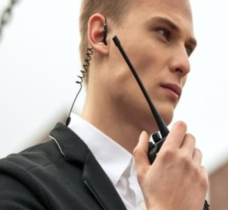 agent service sécurité rennes Bretagne recrutement agent ahtu de gamme premium seyf securité