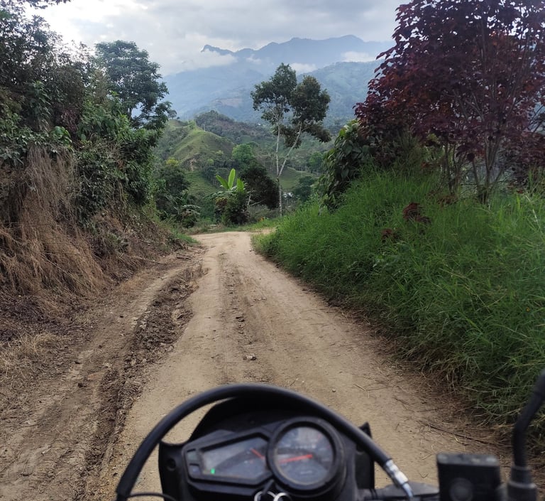 Observación turística gratuita en finca rural de montaña