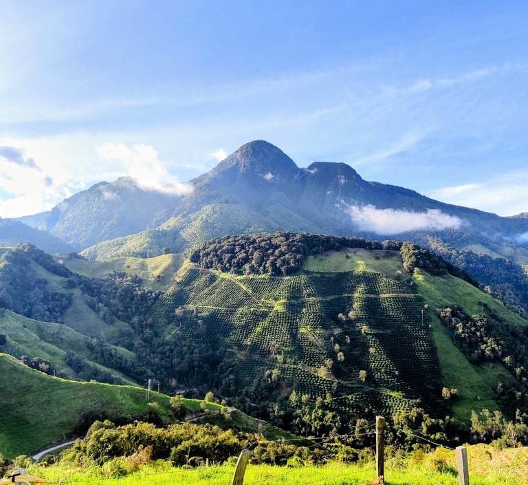 Guía de senderismo y rutas de montaña en Anzoátegui Tolima